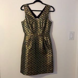 J. Crew Dress